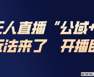 �Ա�����ֱ�������淨 ����˽��͹��������淨