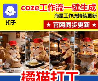 ��è�����򹤿��ӹ������Զ����ɶ���Ƶ��Ʒ������ý��coze������