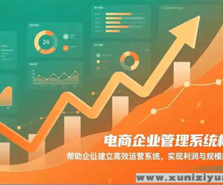 ҵϵͳ ҵЧӪϵͳ ʵģͬԾ