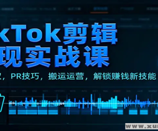 TikTokʵս زĻȡ PR Ӫ ׬Ǯ¼