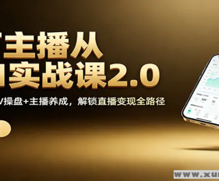 01ʵս2.0 Ʋ+GMV+ ֱȫ·