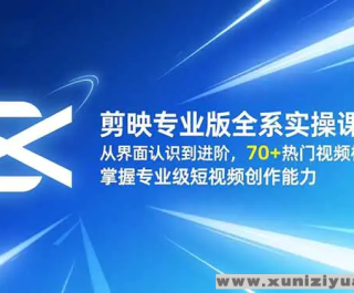 ӳרҵȫϵʵٿγ ӽʶ 70+Ƶģ רҵƵ